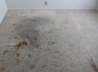 Bt Carpet Cleaning Sydney image 1